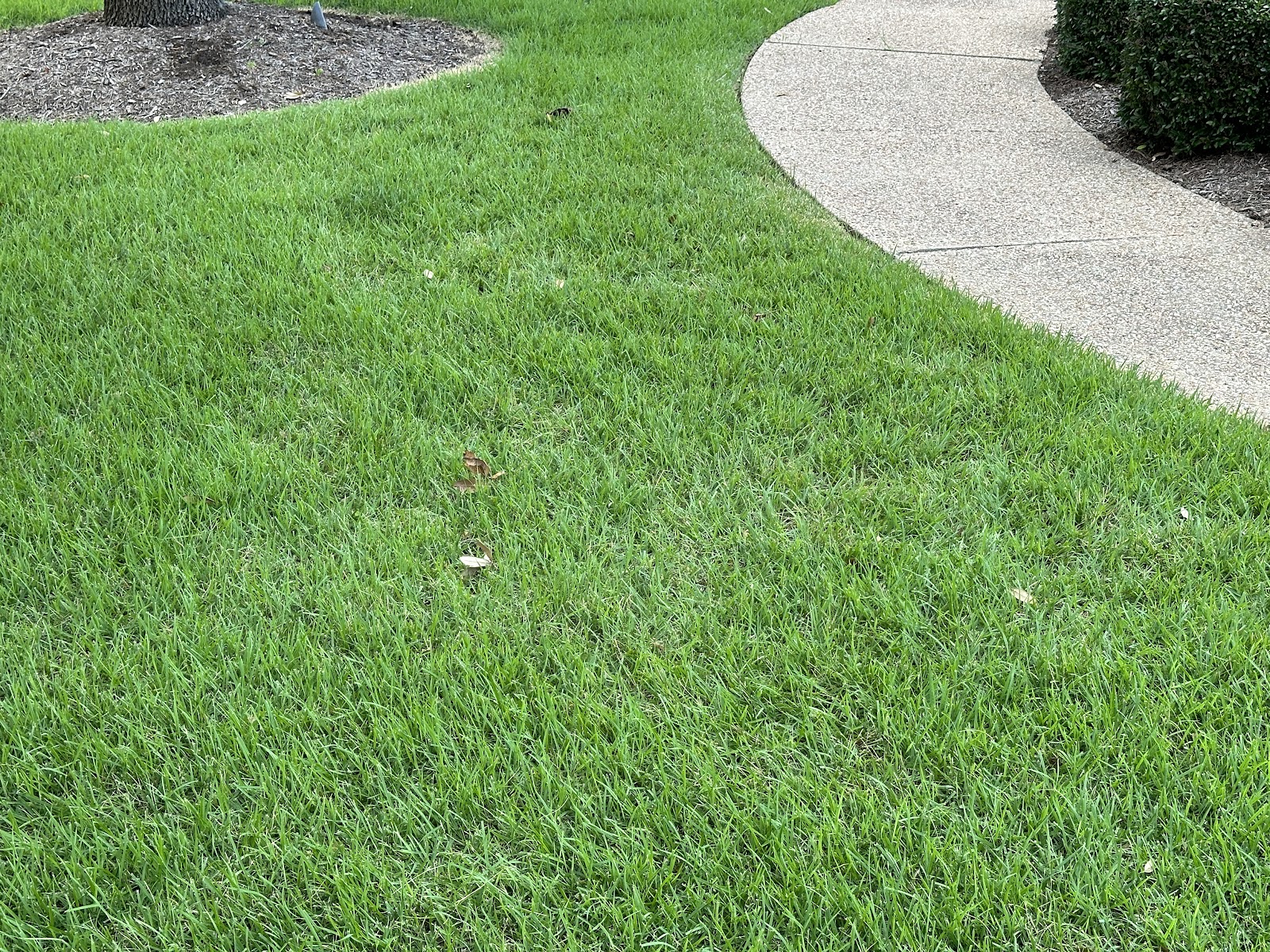 Century outdoor services