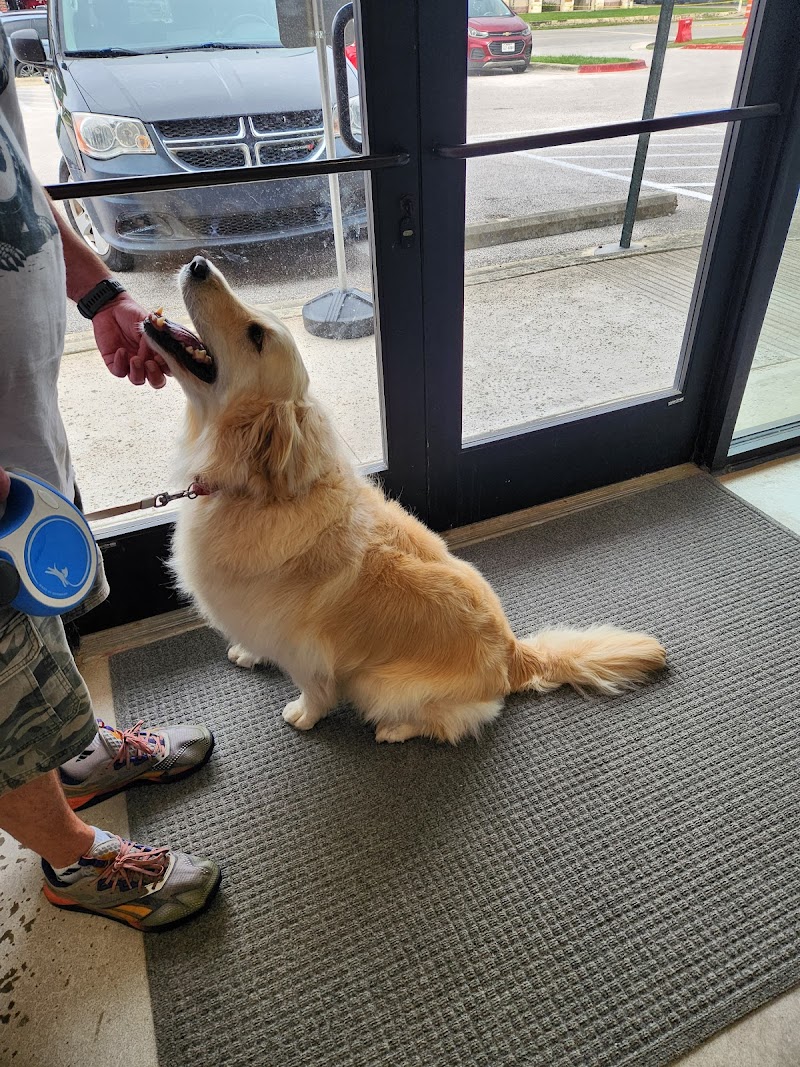 Happy Hound Pet Salon