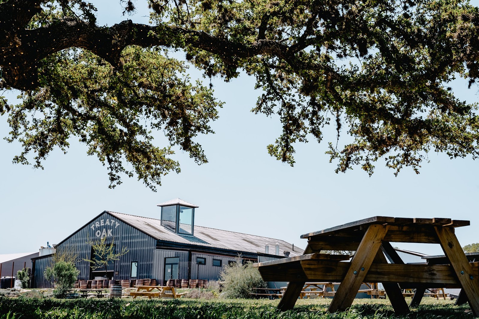 Treaty Oak Distilling