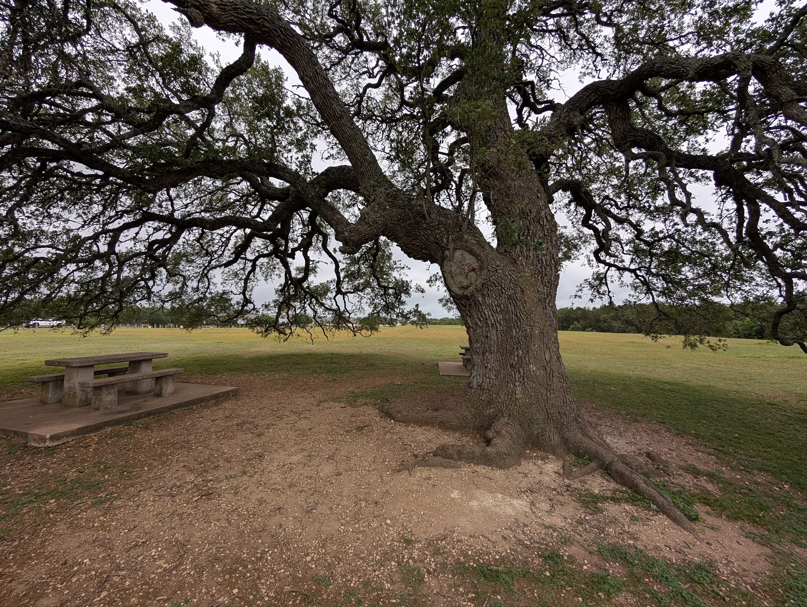 Founders memorial park