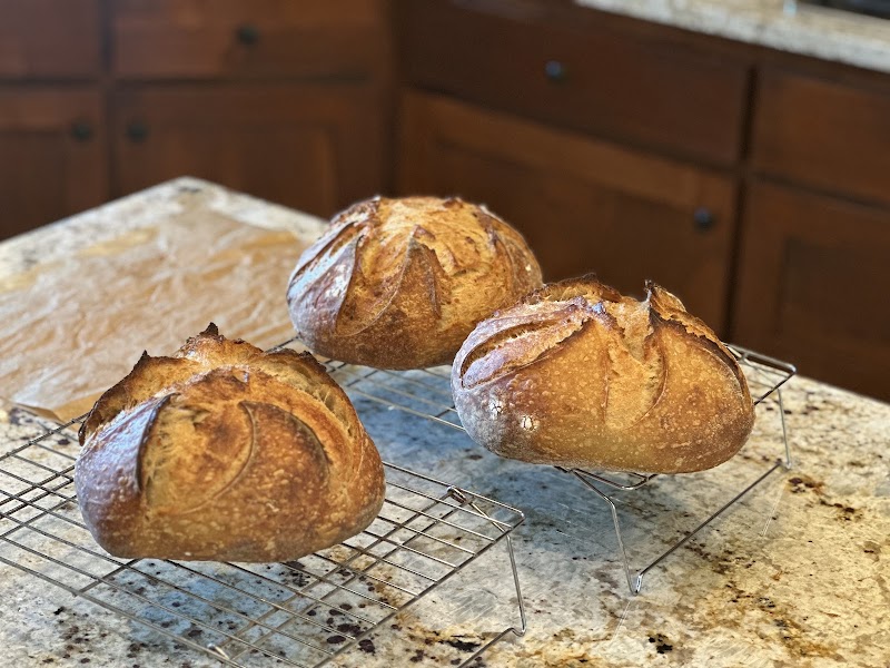 Baked by Robin