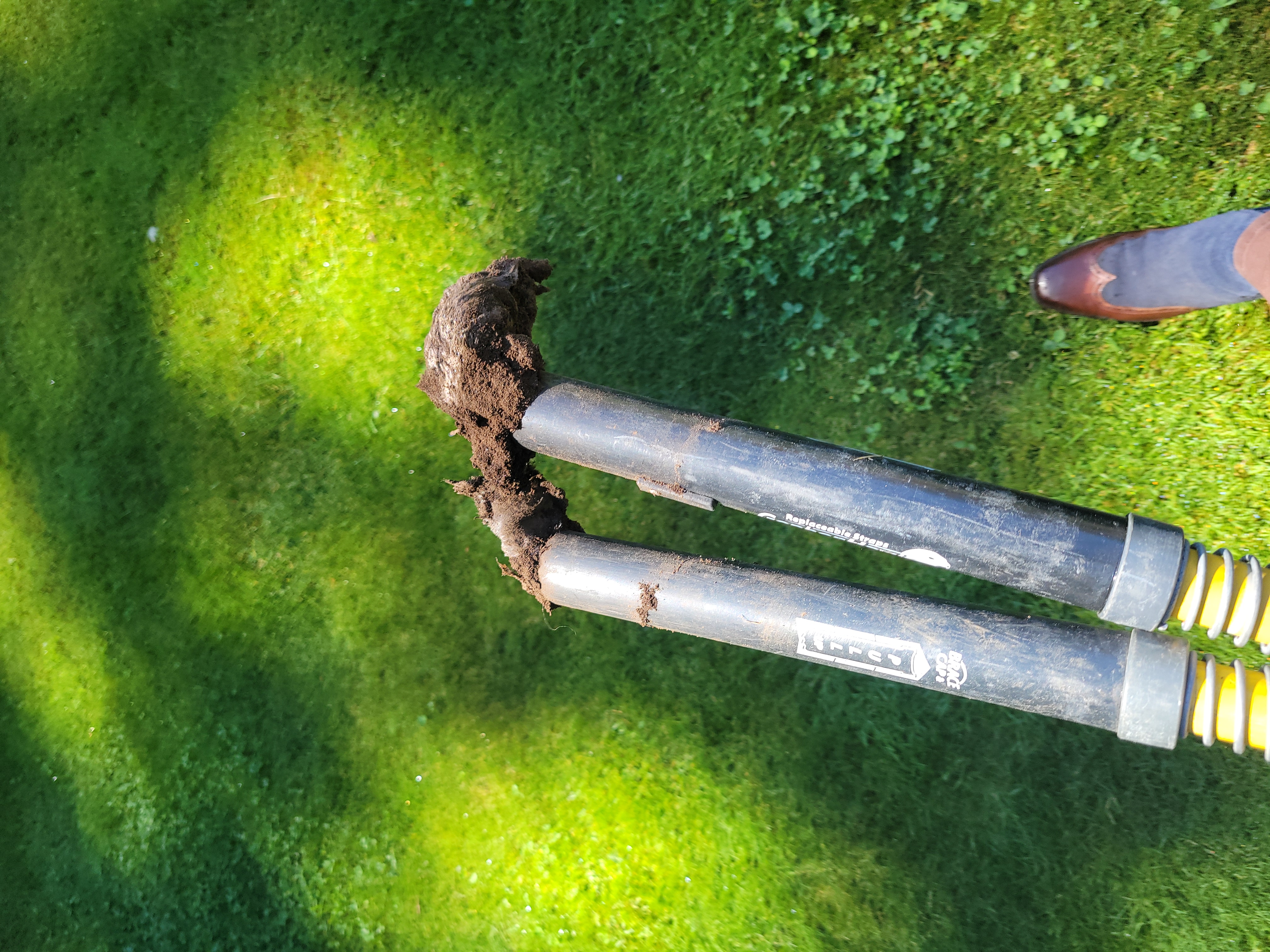 Professional mole trap and fresh soil during service