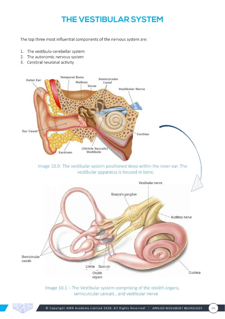 Manual page: the vestibular system