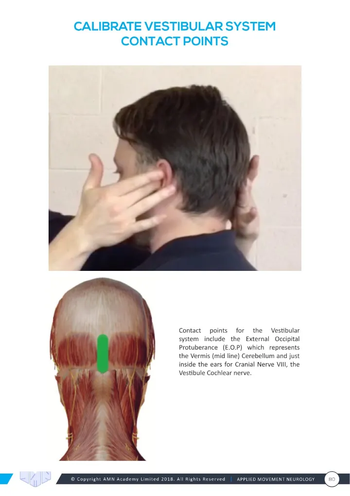 Manual page: vestibular system contact points