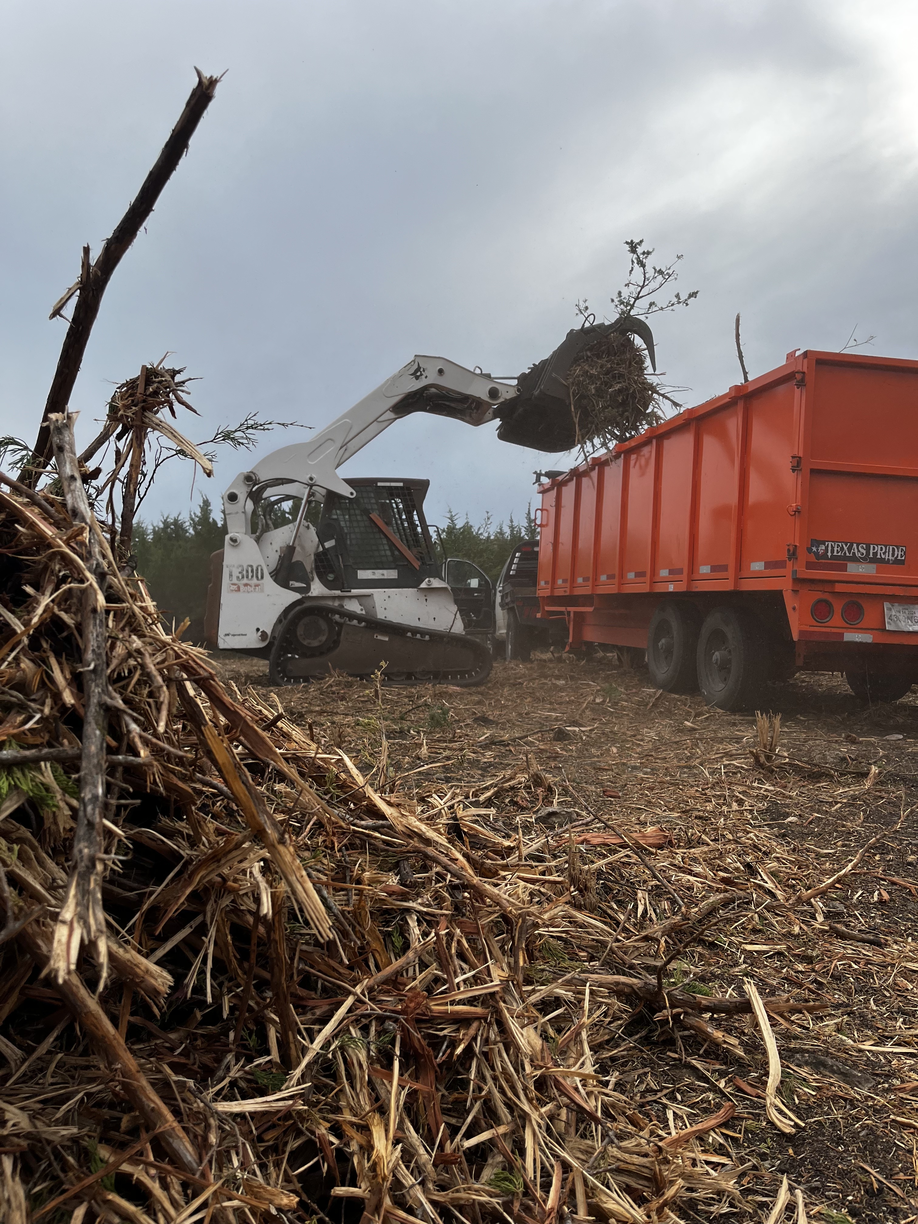 Bobcat loading debris trailer
