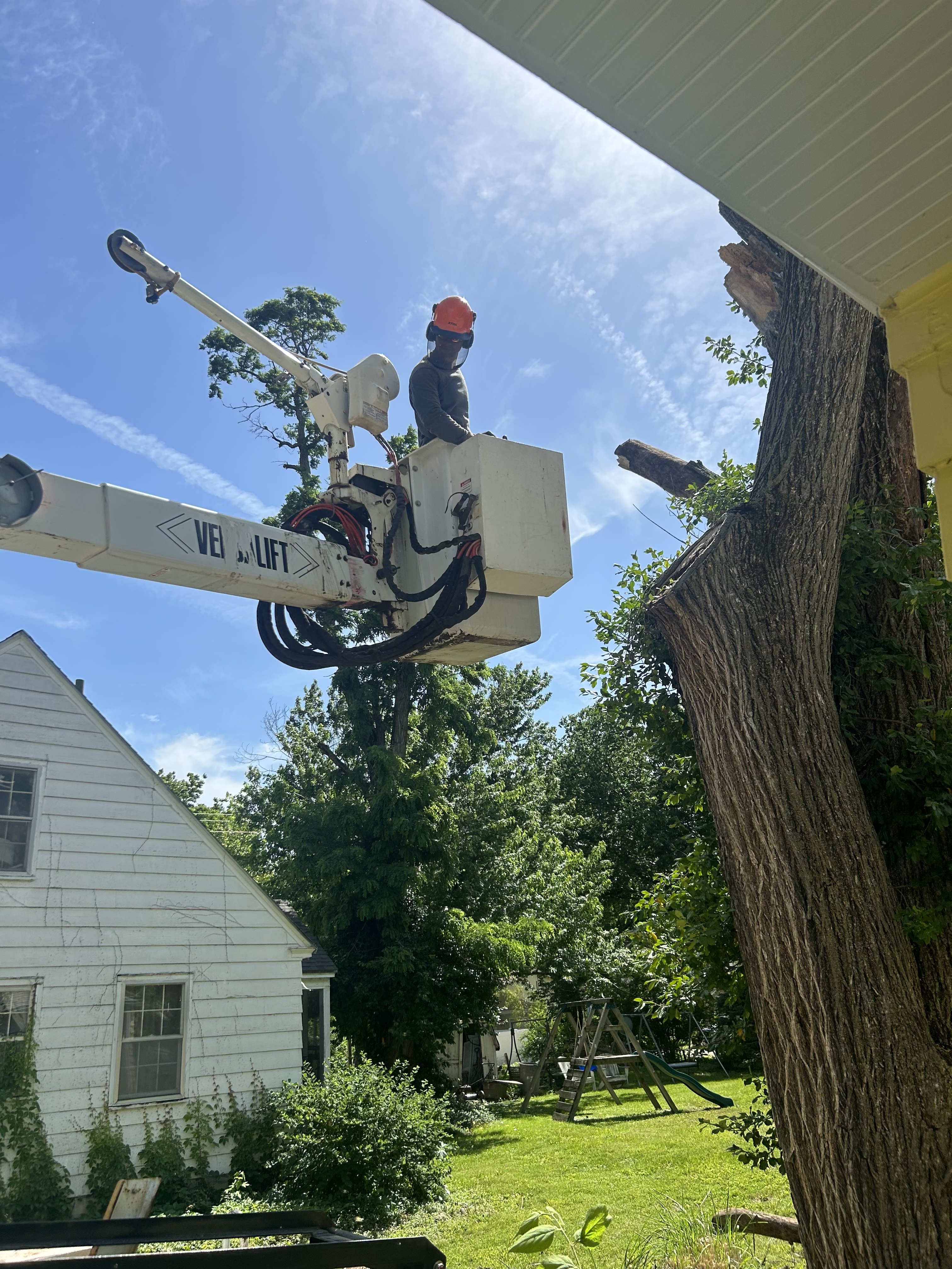 UpKeep Tree Solutions crew at work