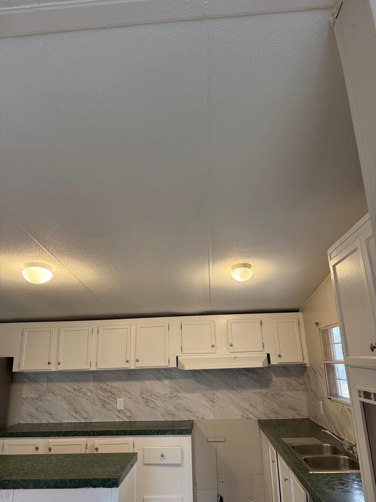 Carpenter Alpharetta