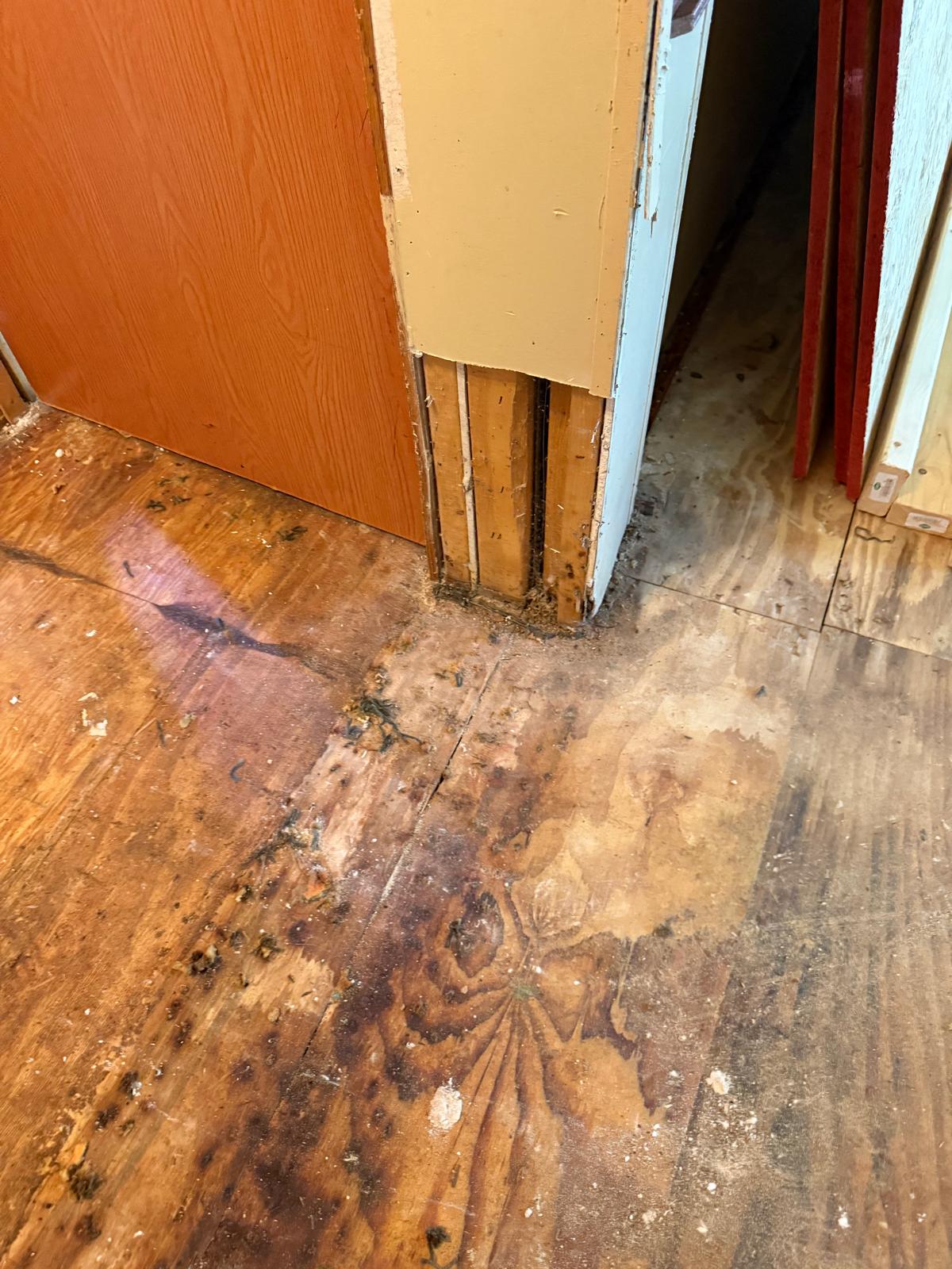 construction Alpharetta