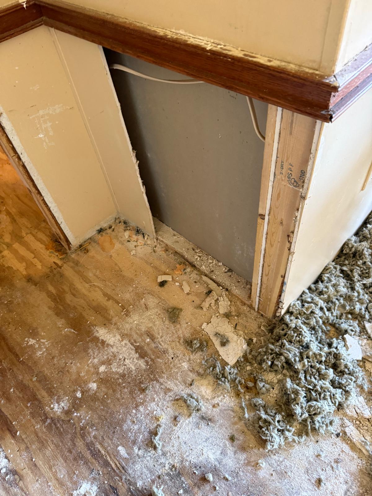 Remodeling Alpharetta