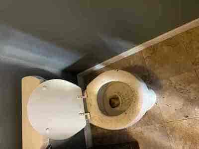 {{ custom_values.service_2 }} in {{custom_values.area_1})