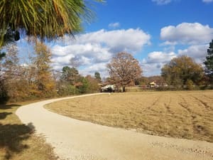 {{ custom_values.service_4 }} in {{custom_values.area_7})