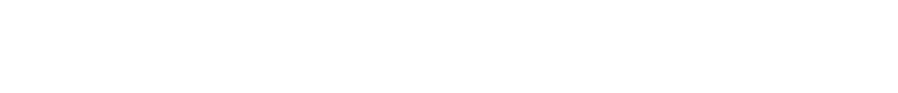 Jiu Jitsu Academy PRO