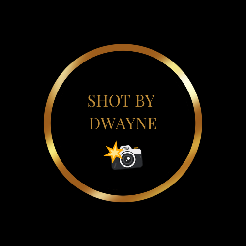 Faces Studio logo