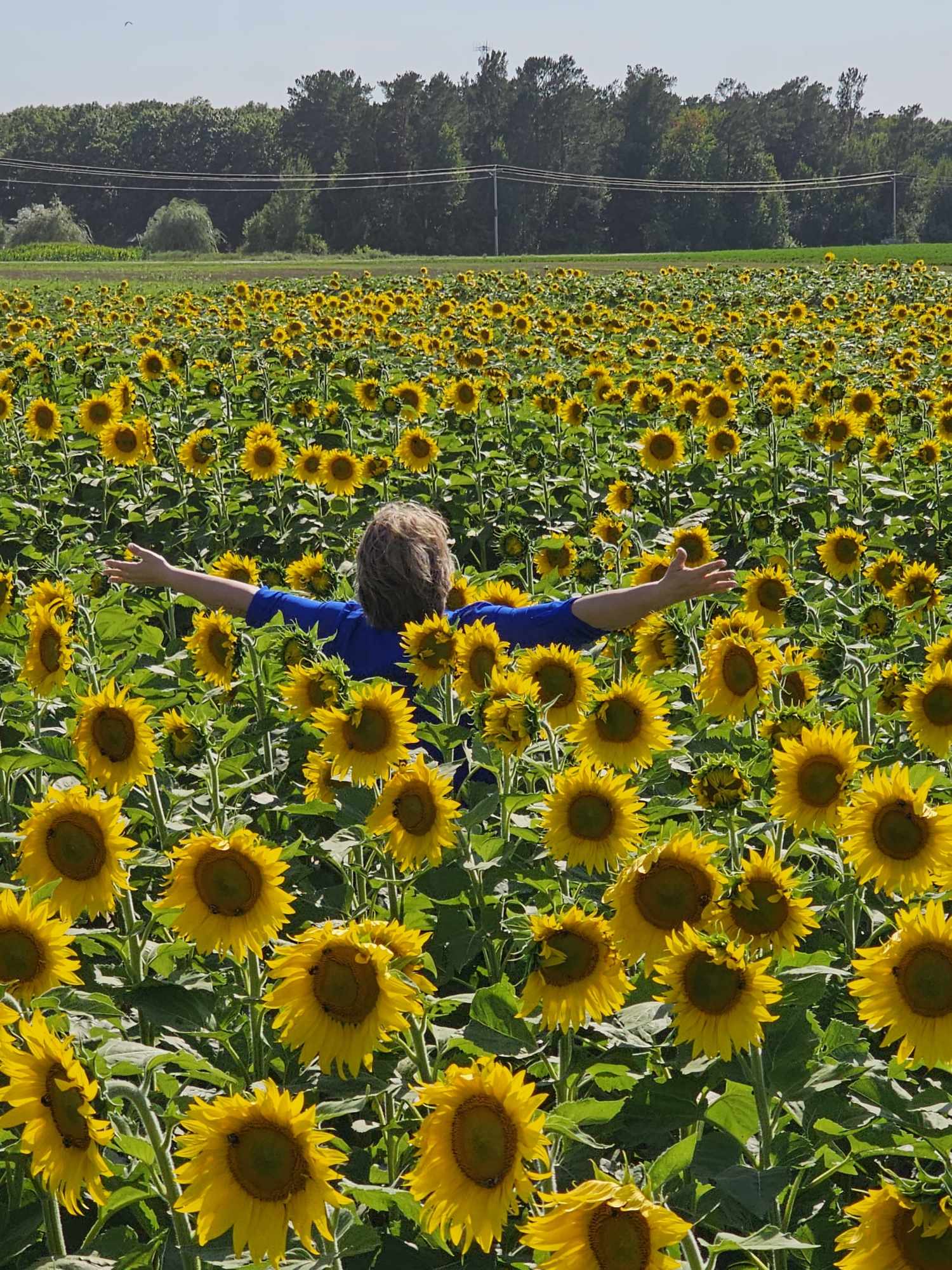 Empowerment Pathways Coaching