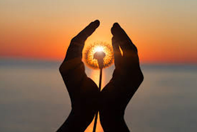 Week 9 Blog Lori Montry Somatic Healing Week 9 Blog Lori Montry Somatic Healing