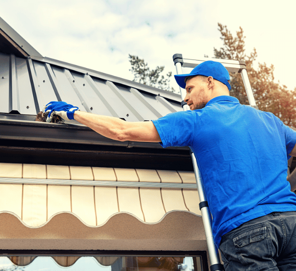 Gutter Cleaning Services Near Me Southern Exterior Cleaning