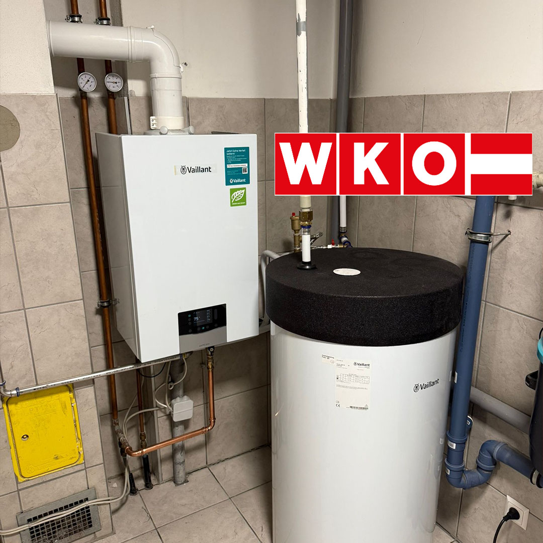 vaillant thermenwartung