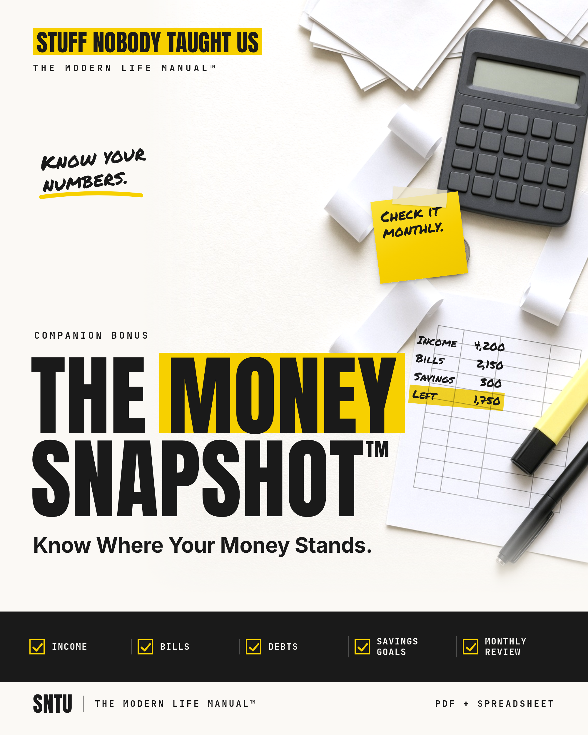 The Money Snapshot companion tool cover