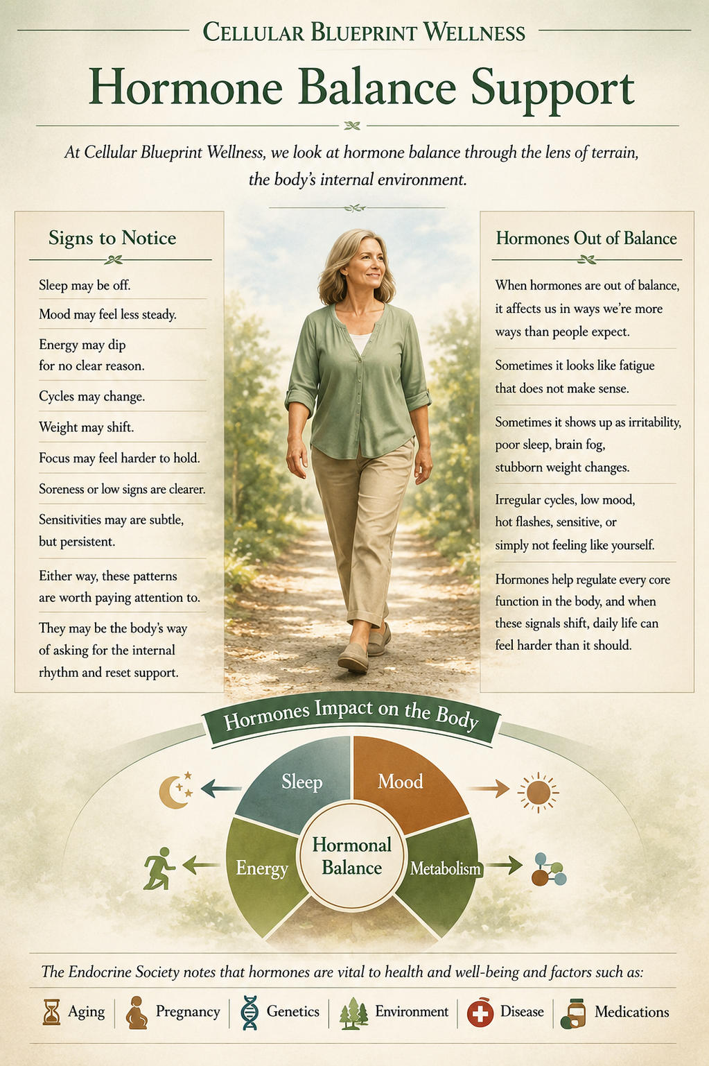 Hormone Balance Support