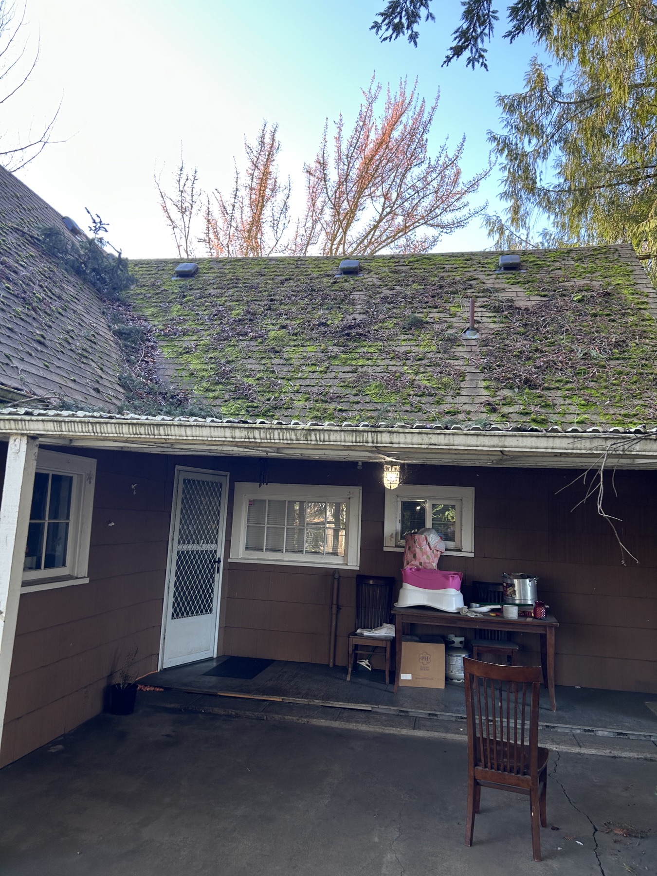 Before: Moss-covered residential roof before soft washing