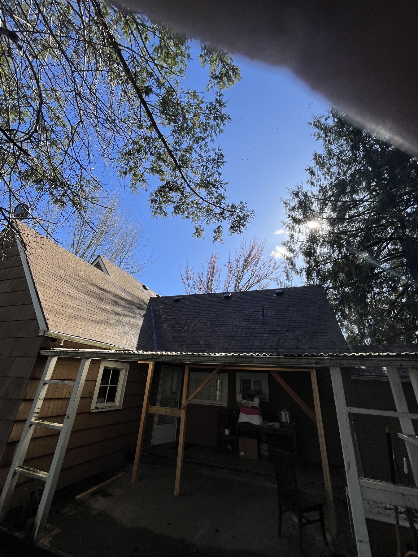 After: Moss-covered residential roof before soft washing