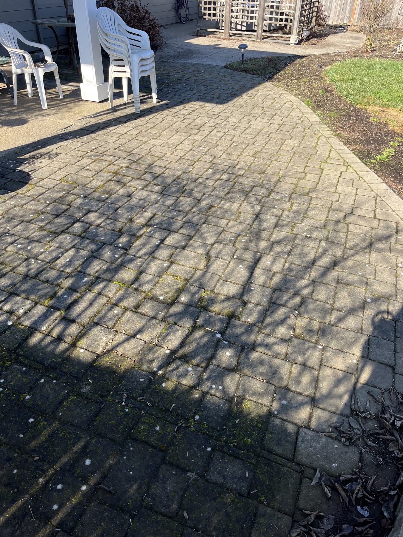 Before: Mossy paver patio before pressure washing