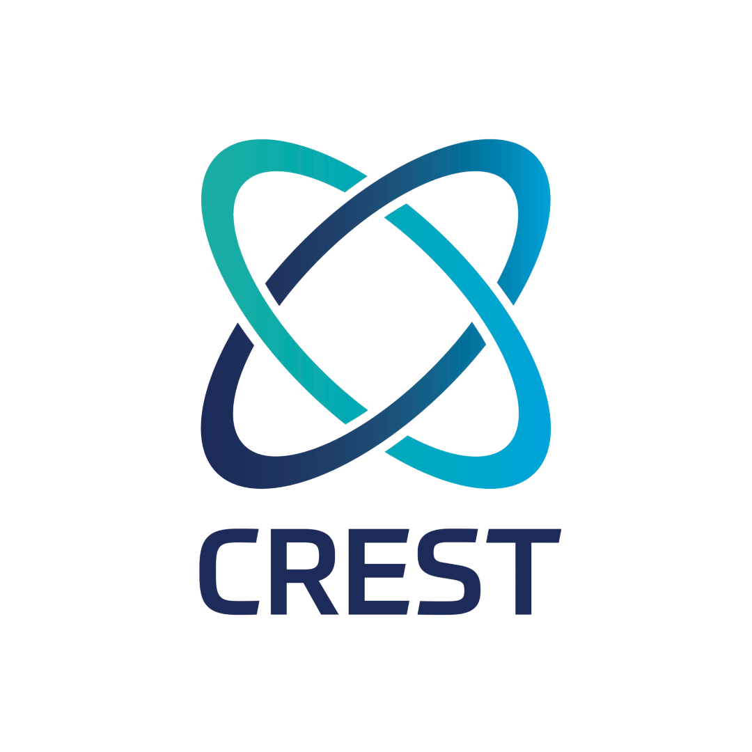 CREST Accredited Network Penetration Testing