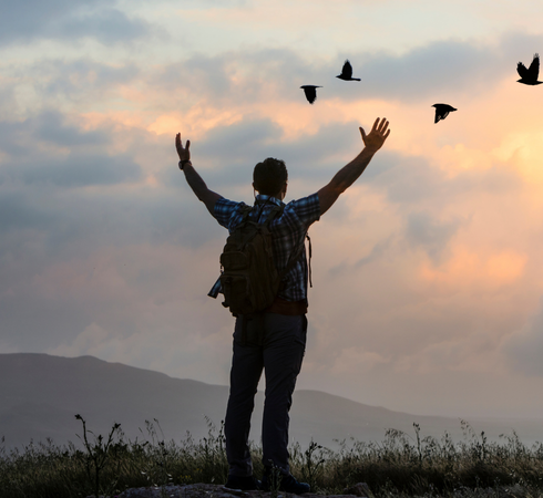 Insights for Higher Living