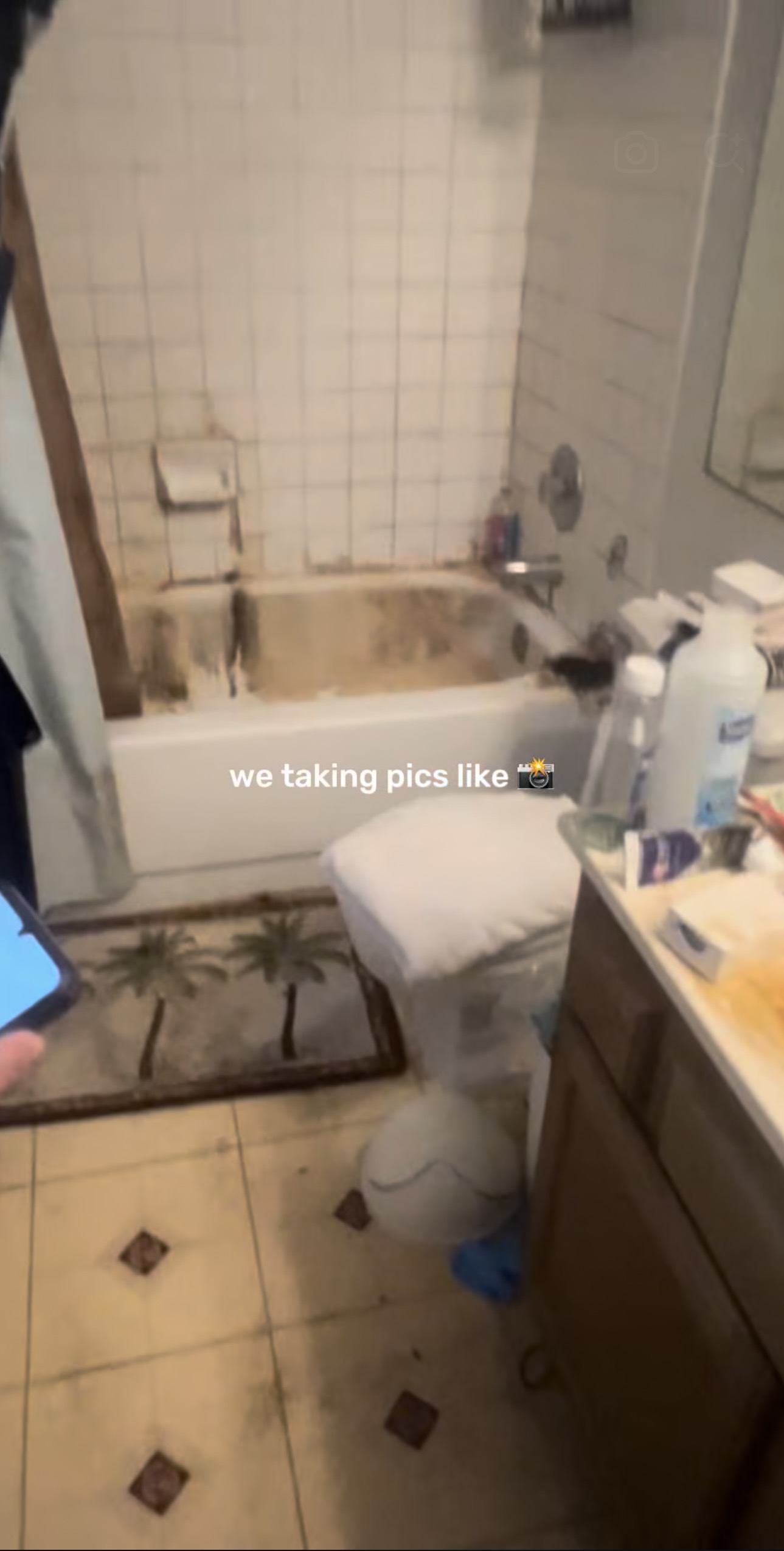 The same bathroom before the deep clean