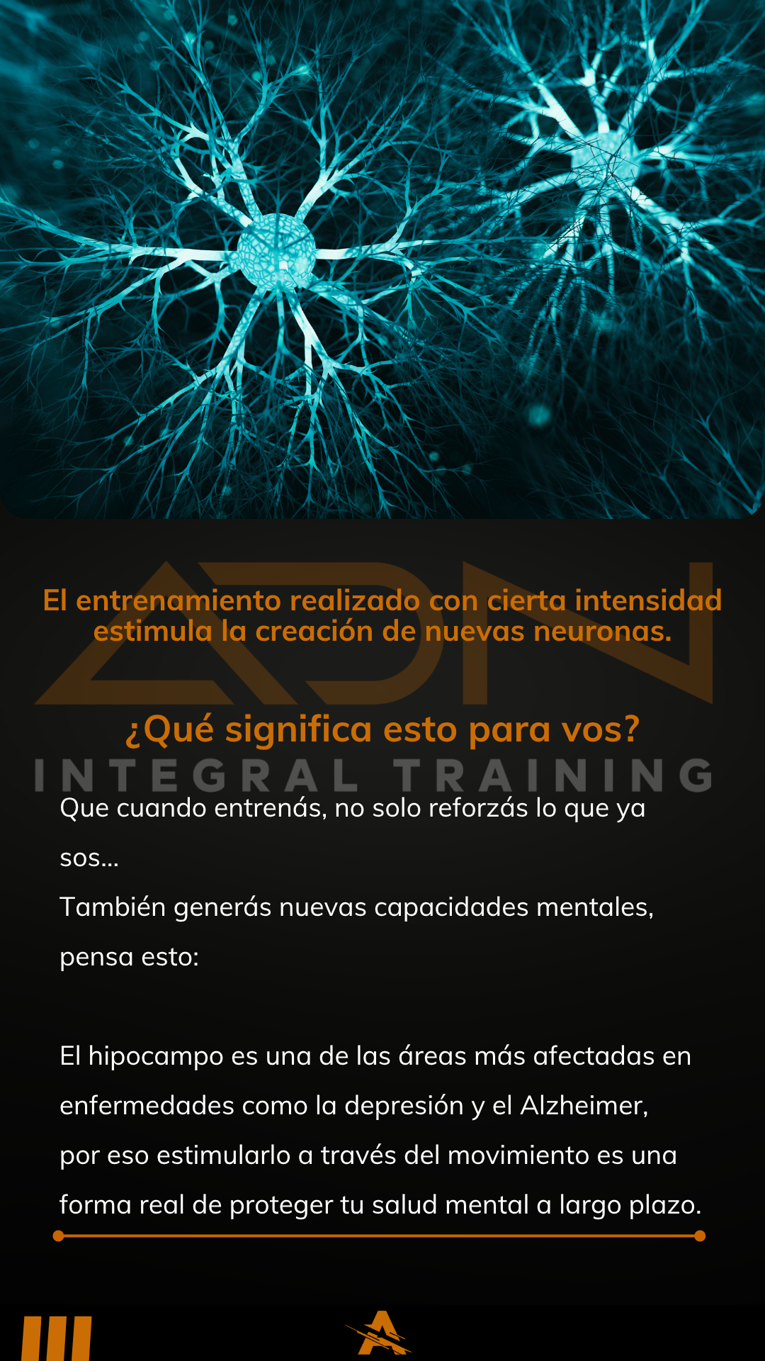 Nuevas neuronas — página del ebook ADN