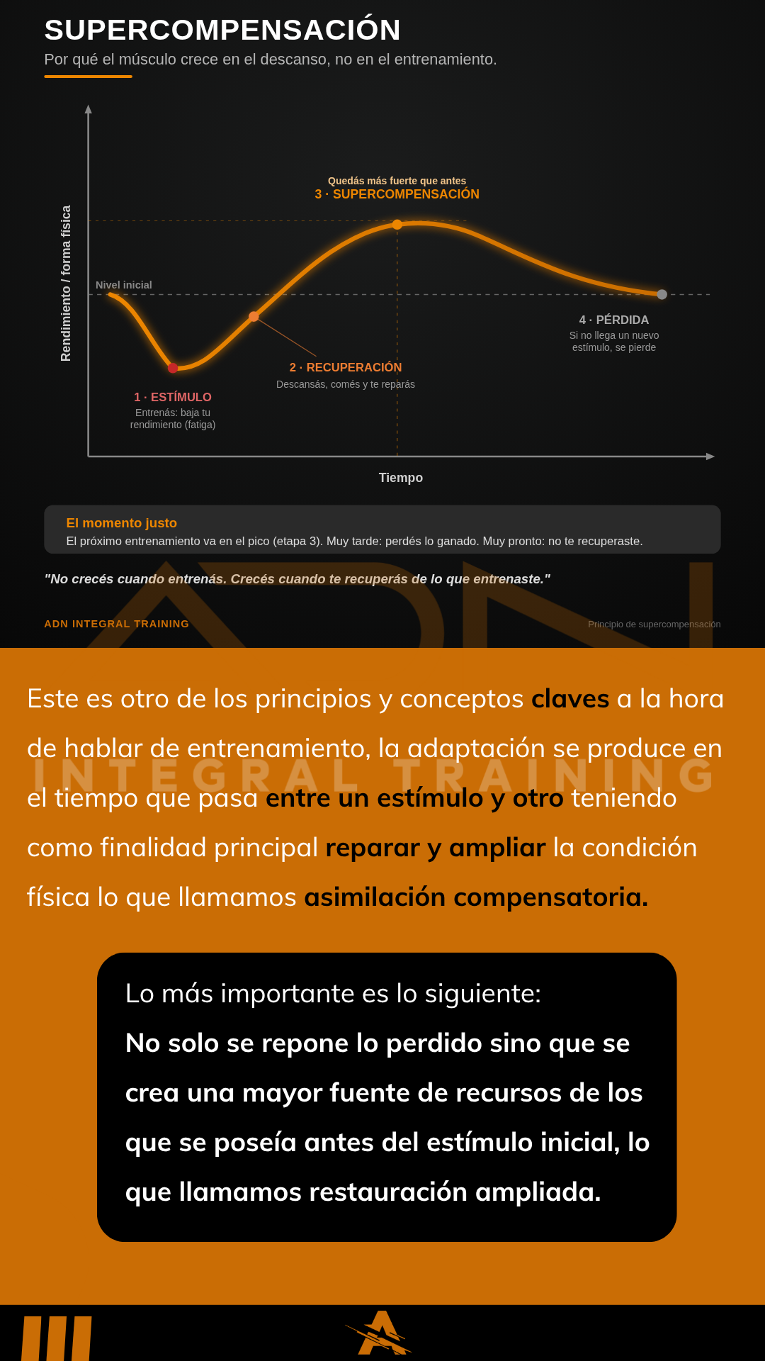 Supercompensación — página del ebook ADN