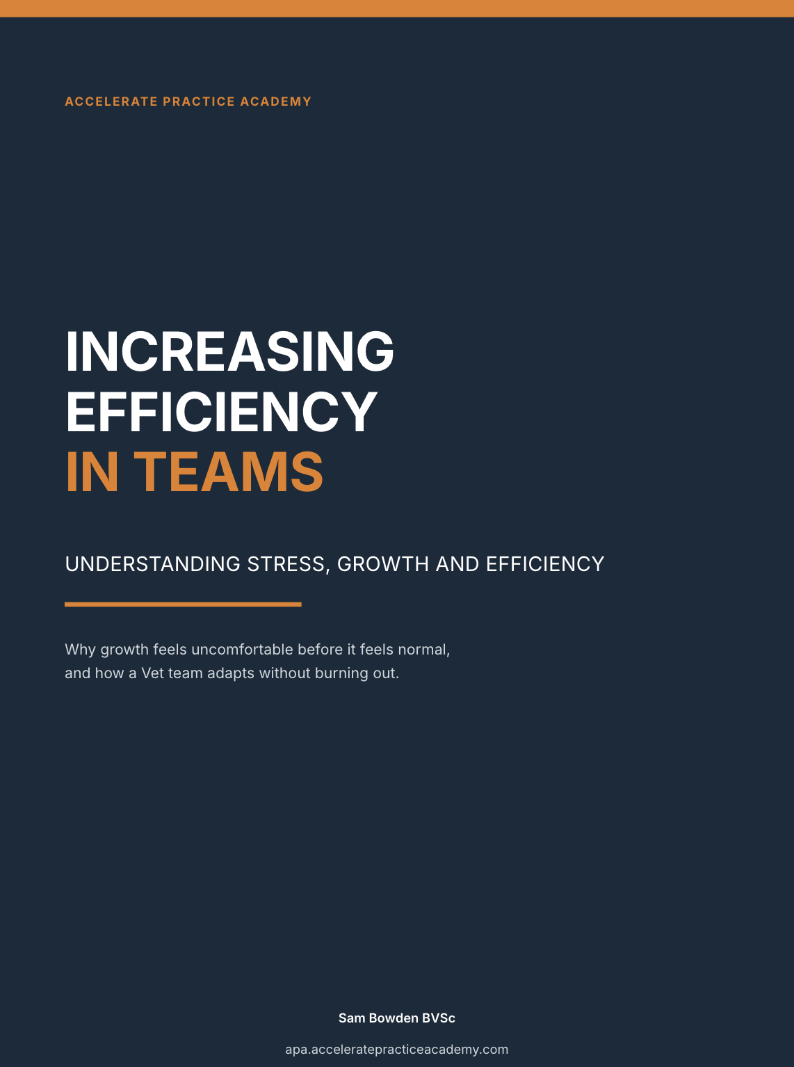 Increasing Efficiency In Teams