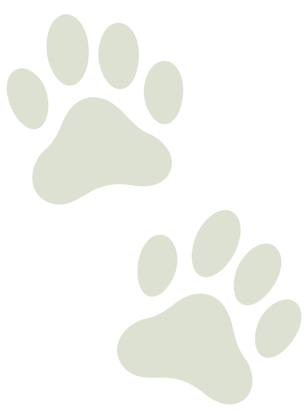Pay Prints Icon
