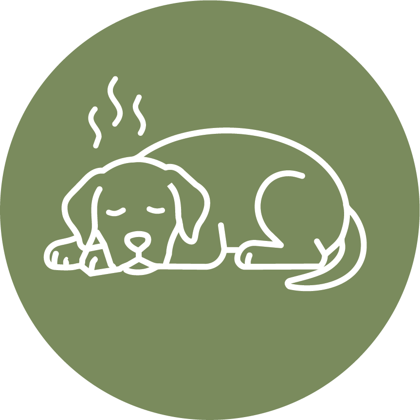 Dog energy icon