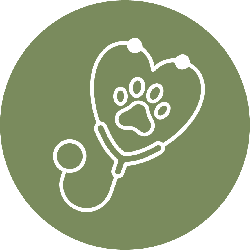 Animal health icon