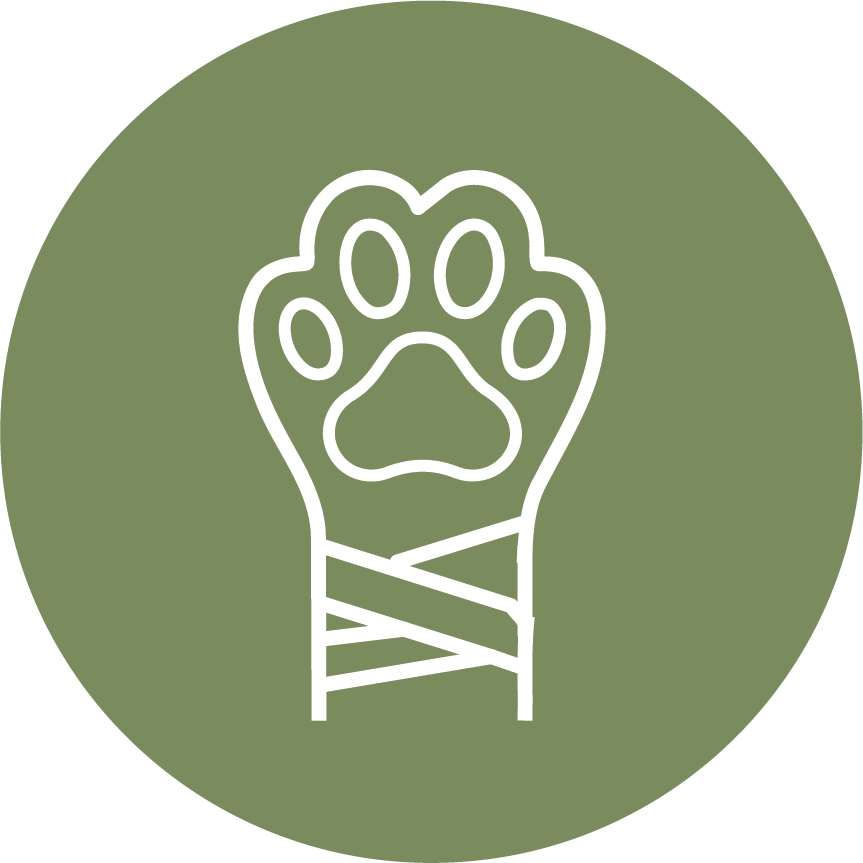 Hurt dog paw icon