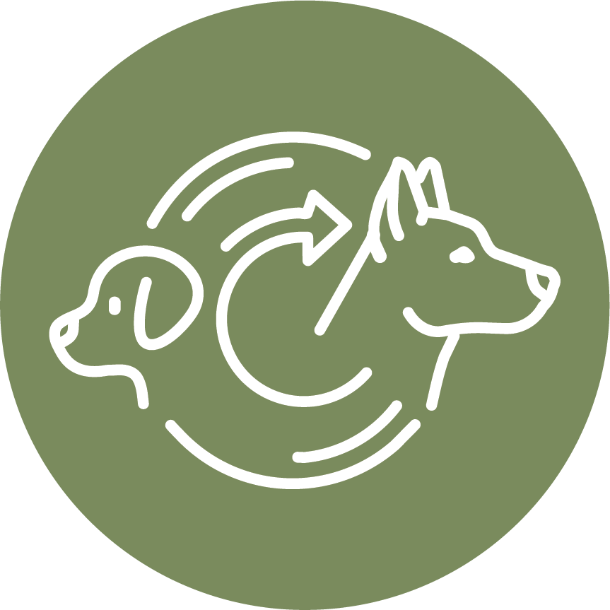 Dog transitions icon
