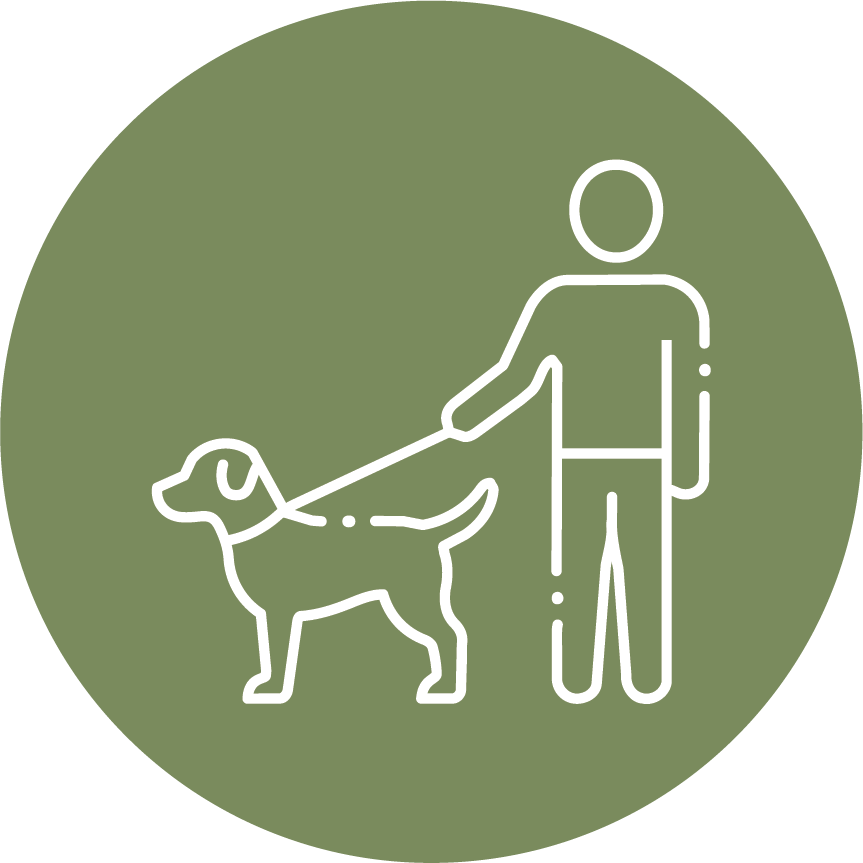 Person walking dog icon