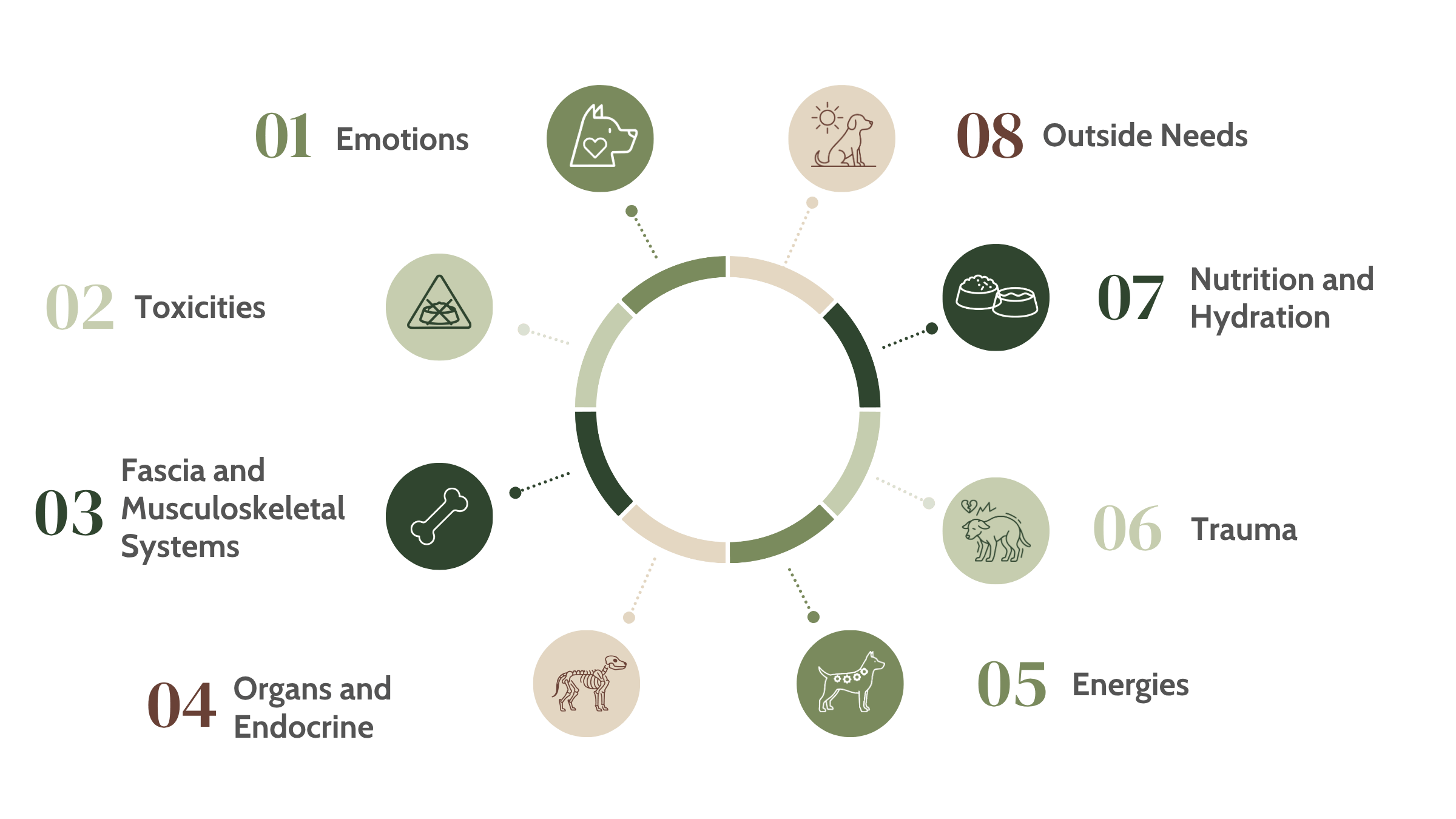 Infographic of 8 AIM Assessment Pillars