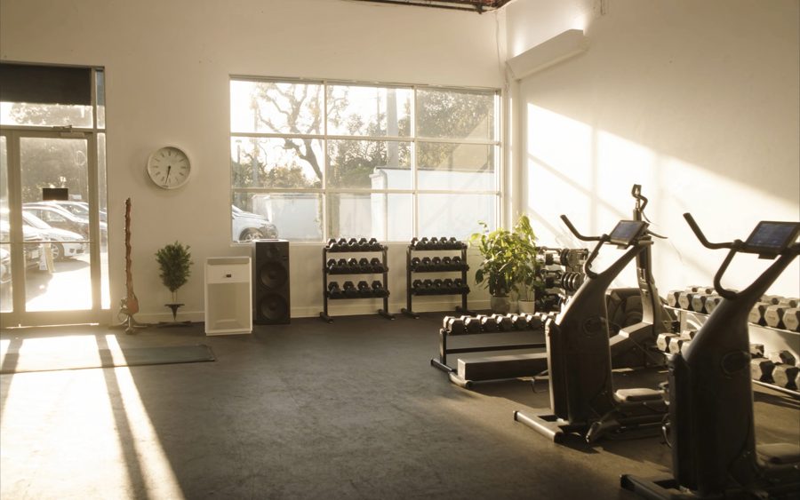 Sunlit fitness gym with dumbbell racks, ellipticals, and plants