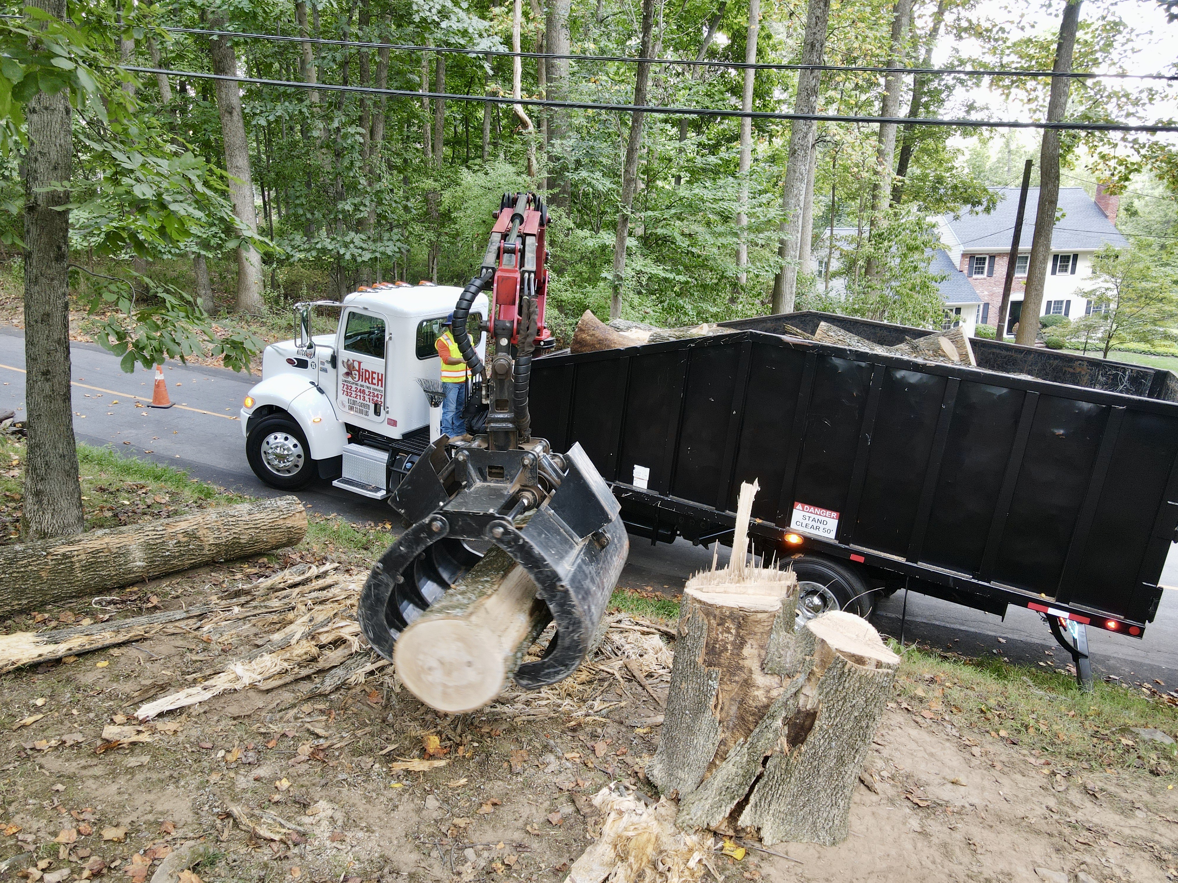 Aerial view of Jireh Landscaping tree specialist working high in tree canopy