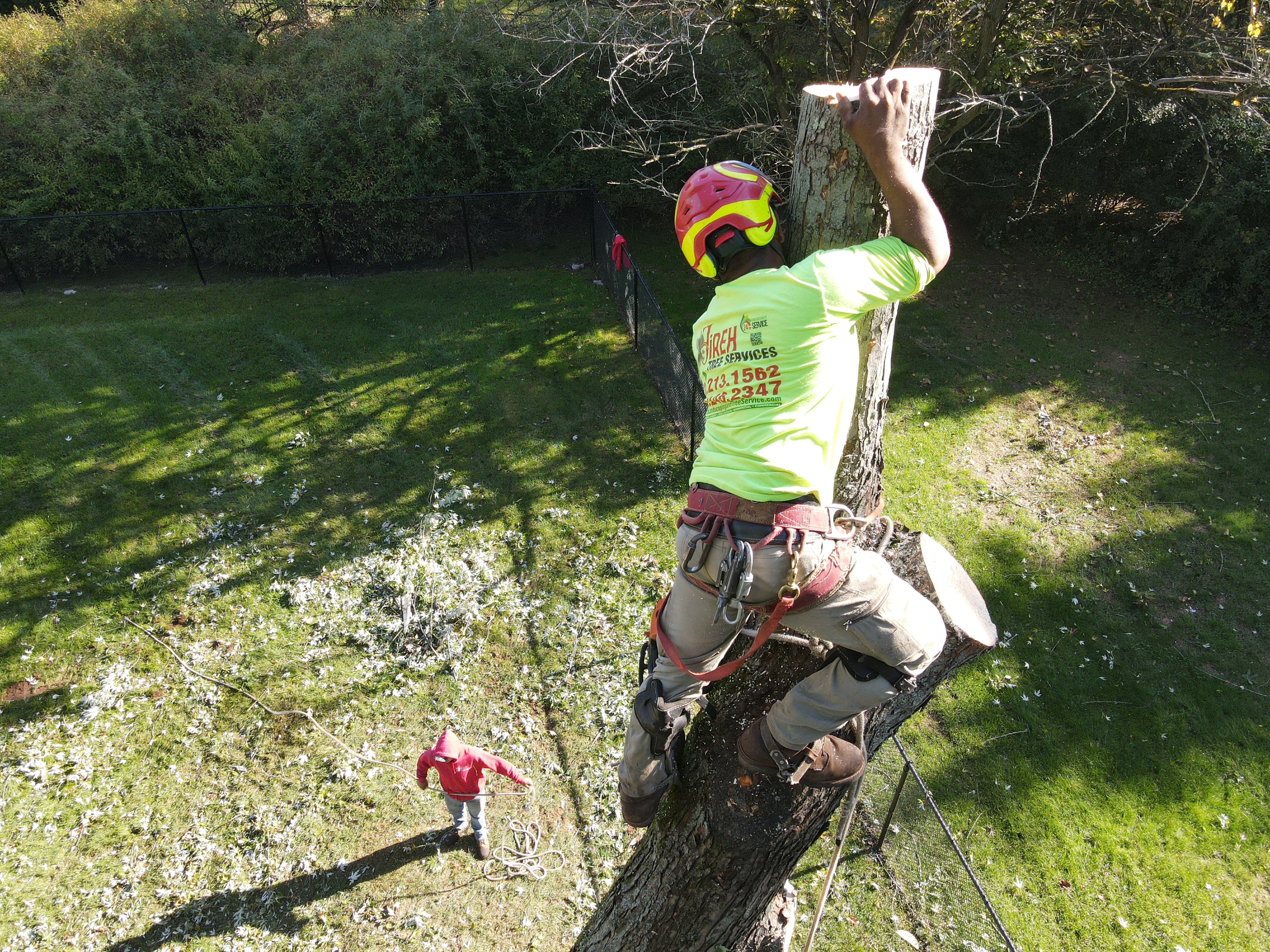 24/7 Emergency Tree Service work by Jireh Landscaping in New Jersey