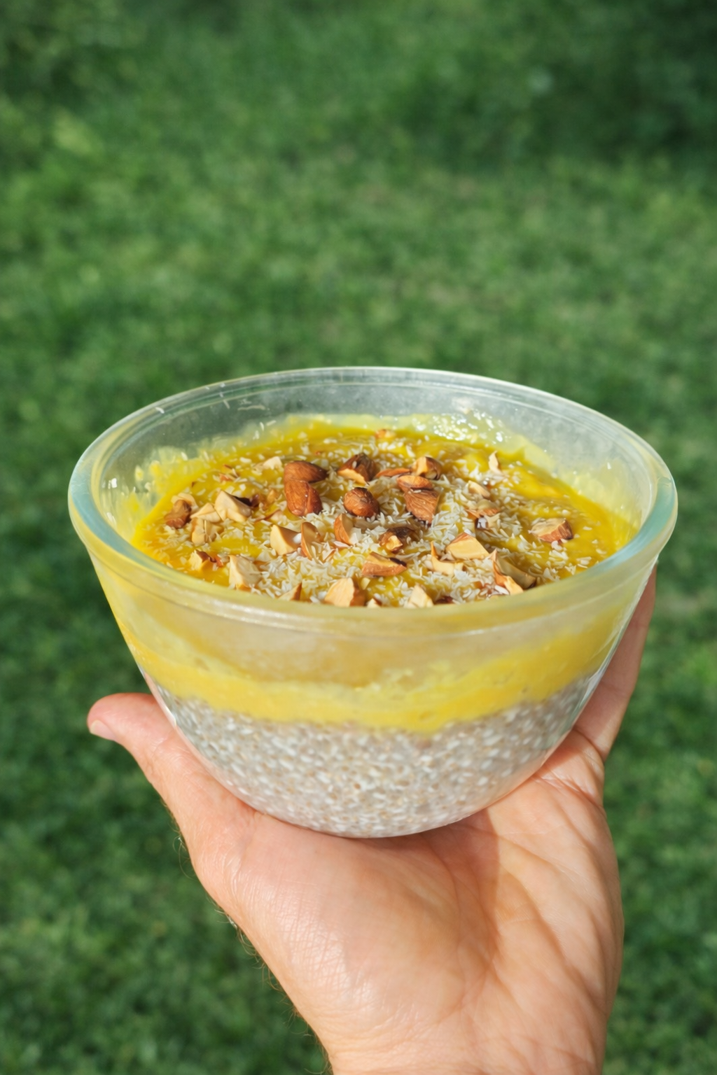 Receta saludable Gabs 5