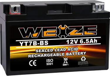 Weize Sealed AGM Battery