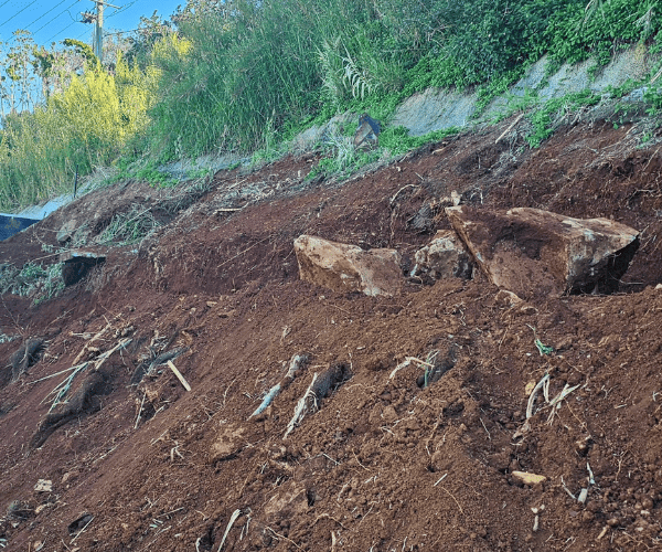 Mini Excavator Bobcat Combo Service