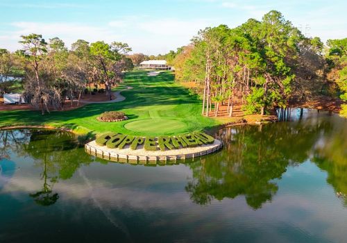 Palm Harbor PGA Golf Palm Harbor PGA Golf