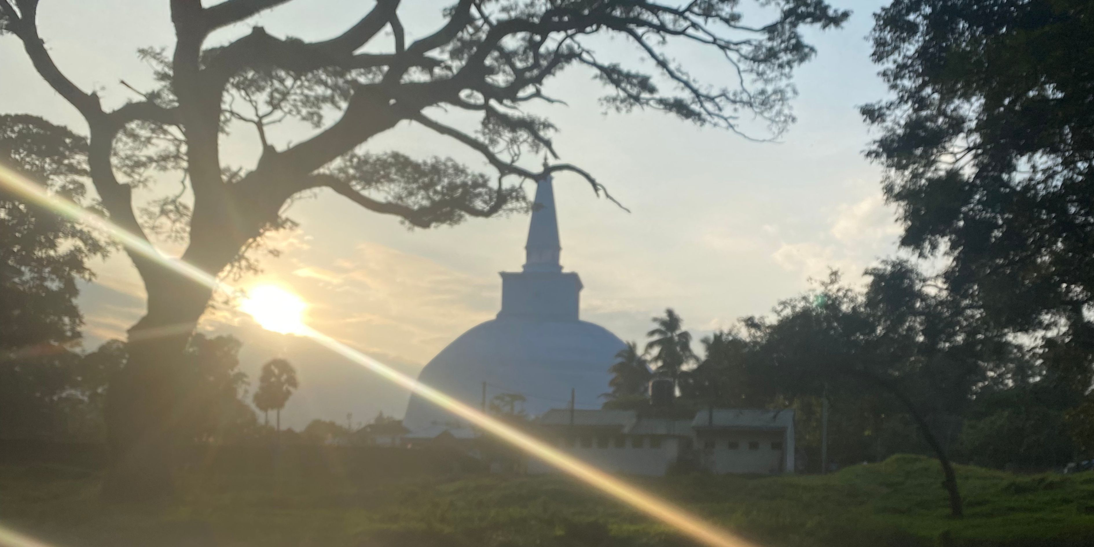 Alignment Coach for Women in Business Transition