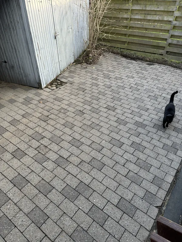 Før og efter billede af fliserens på et gangareal. efter