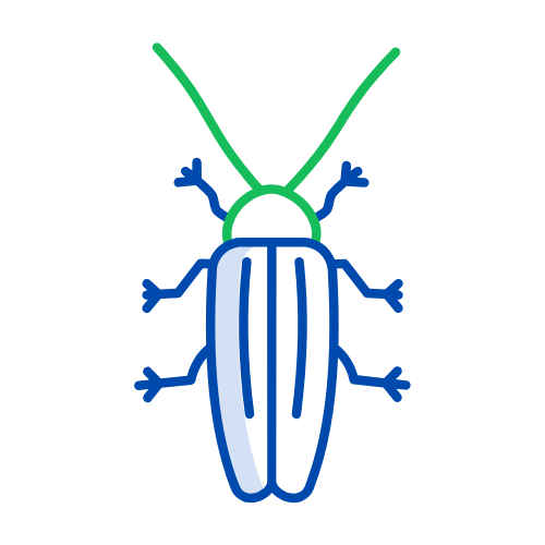 Roaches