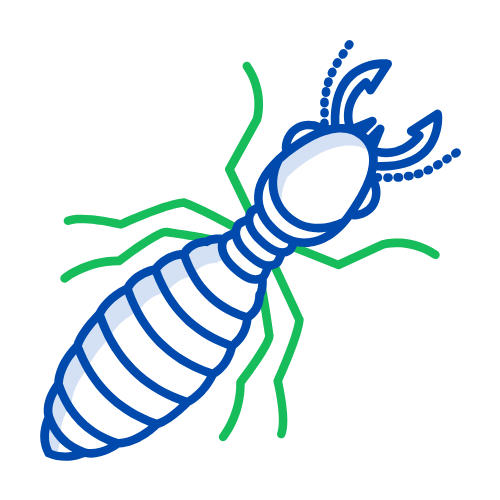 Termites